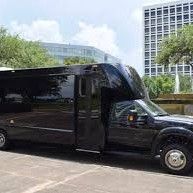 Birthday Party Bus Hire Queens avatar