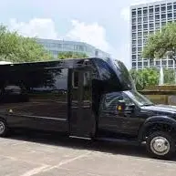Birthday Party Bus Hire Queens avatar